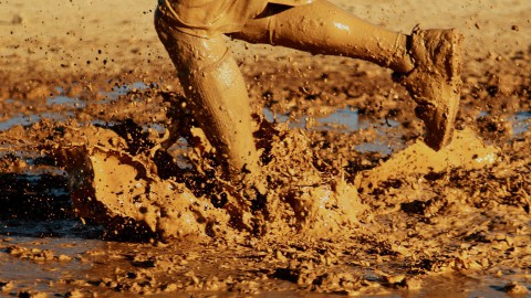 Stichting Stad & Natuur stopt met Modderrun