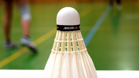 Jaap Wals Technisch Adviseur Badminton Nederland