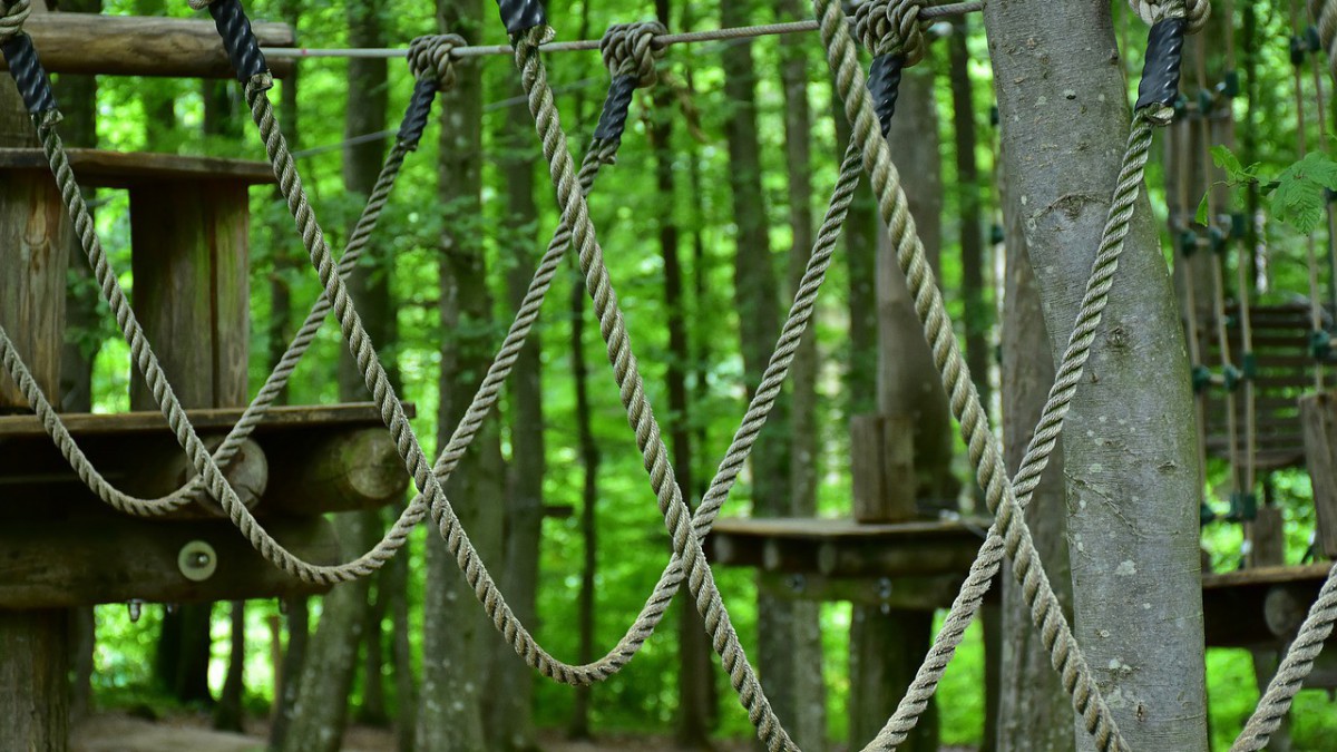 Kom jij komende zaterdag nachtklimmen bij Fun Forest?