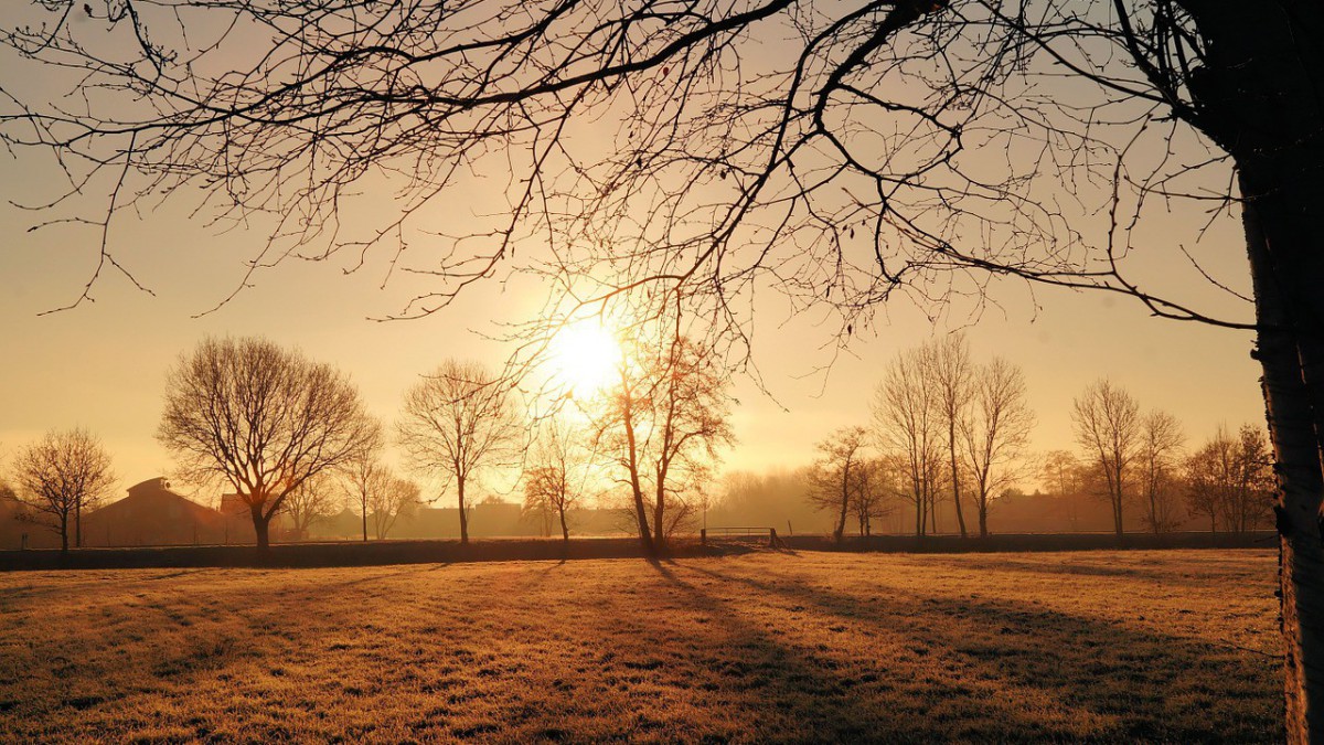 Eerste weerrecord van 2020: warmste 8 januari ooit