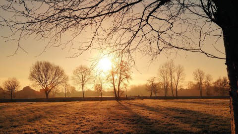 Warmste 31 januari ooit gemeten 