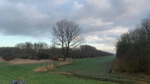 Af en toe zon en overwegend droog.