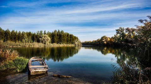 Wereld Wetlands Dag