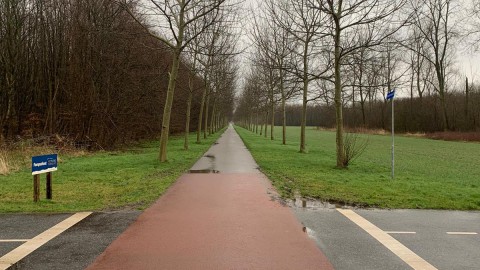 Regenachtig en veel wind