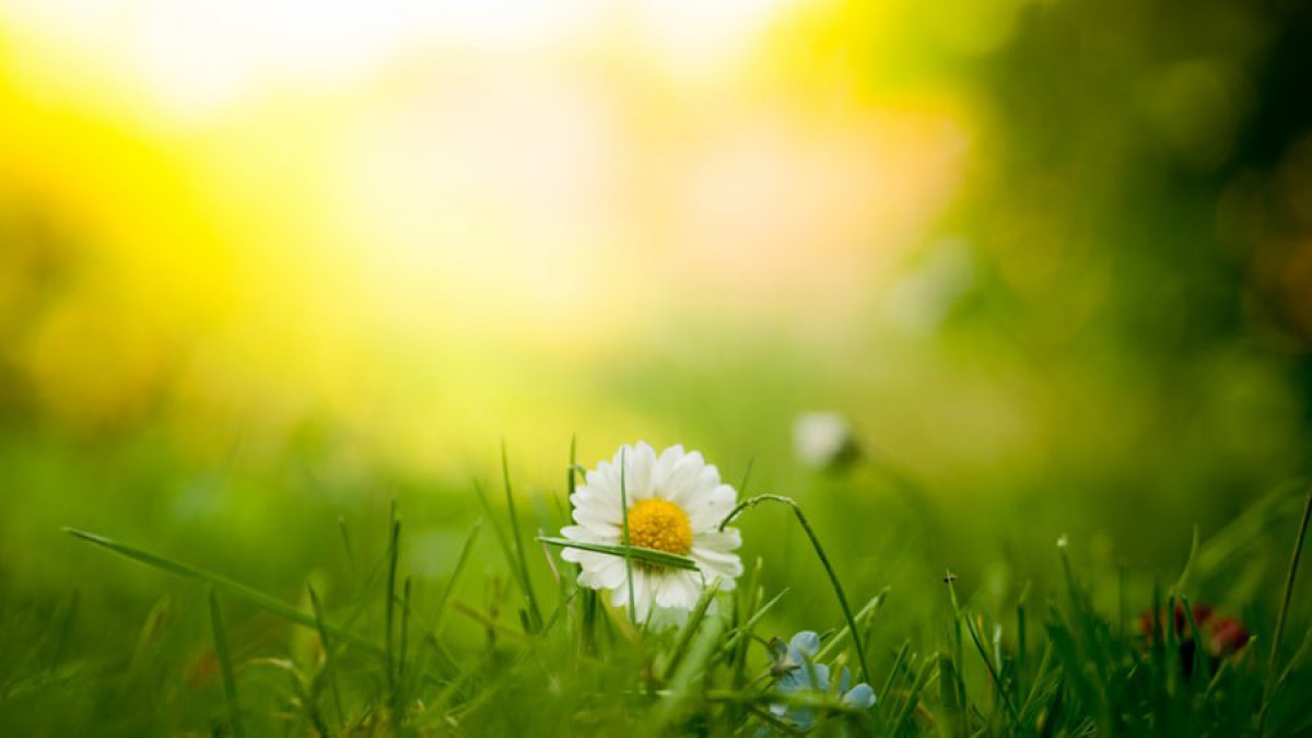 Warmste 5 april ooit gemeten in Flevoland