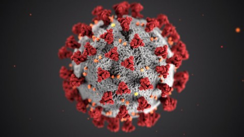 Almeerse regels tegen het Coronavirus 