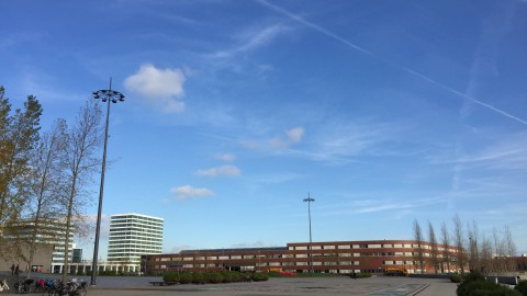 Vrij zonnig met sluierwolken.