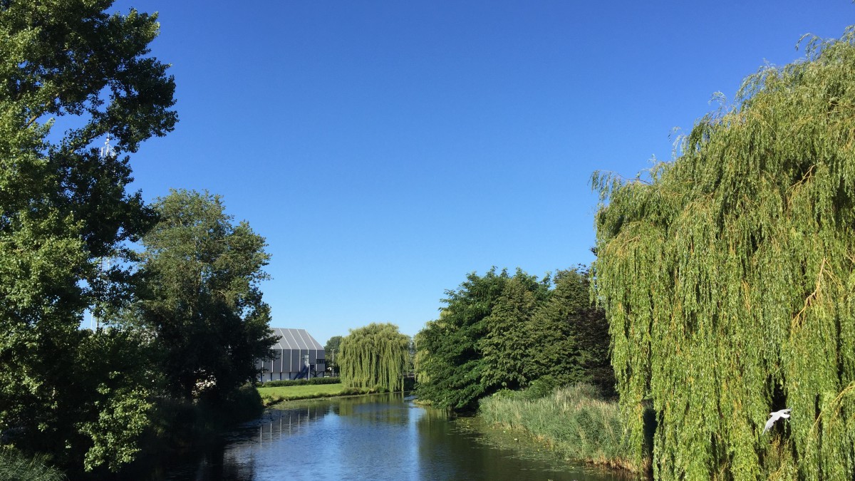 Wolkenvelden, in de middag geregeld zon