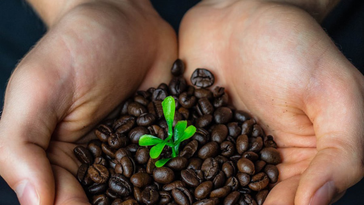 Fairtrade Week