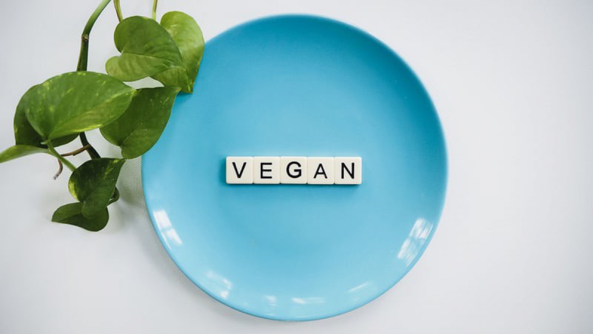 Vegan lifestyle