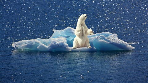 Nederlandse online top over klimaatoplossingen in januari 2021