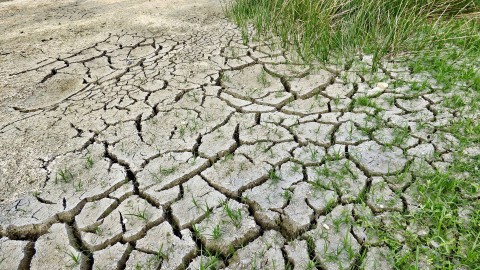 Strooien in de zomer: 'vergelijk het met meel op een pizzabodem'