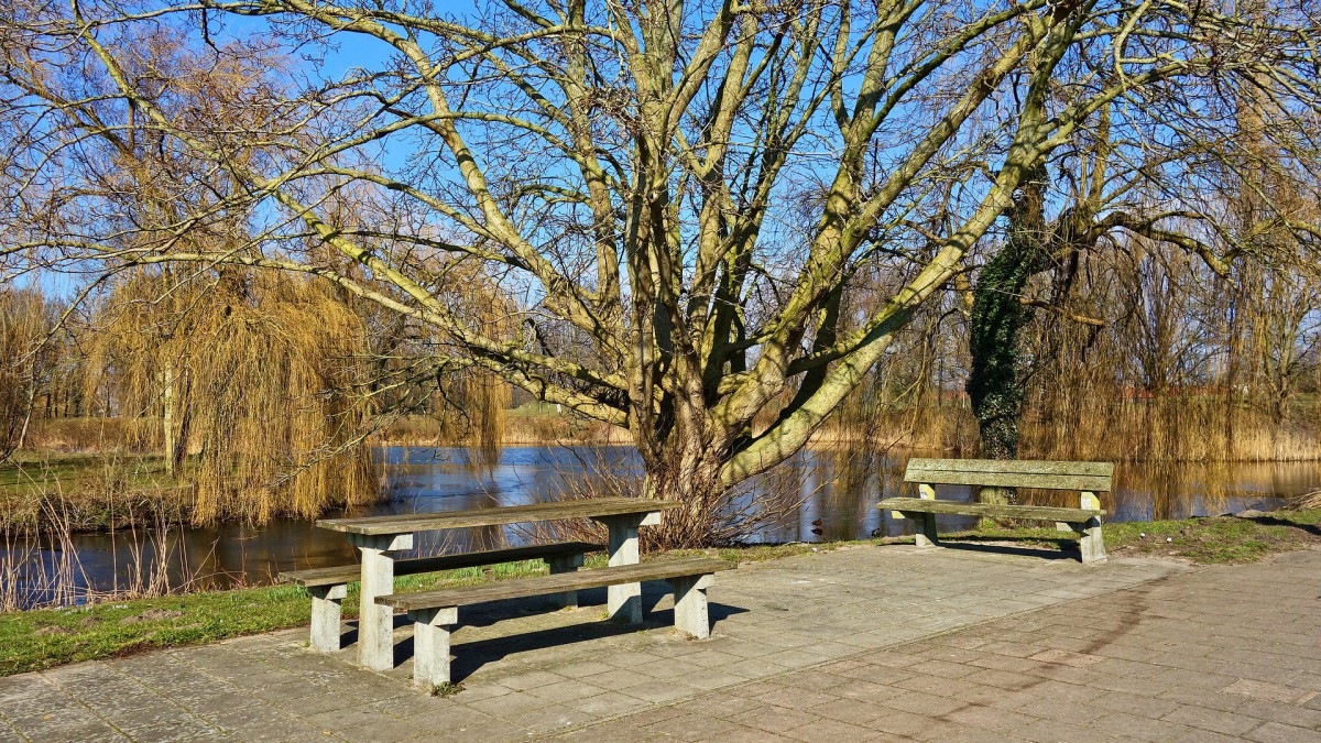 Natuurbelevingscentrum tijdelijk uitgebreid met terras