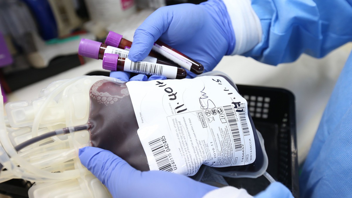 Nieuwe donorwet gaat vanaf vandaag in: ruim 7,3 miljoen keuzes ingevuld