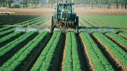 'Onderzoek naar bestrijdingsmiddelen landbouw in de natuur is nodig'