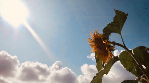 Vrij zonnig en warm nazomerweer.