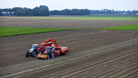 Zesde openstelling regeling Jonge Landbouwers