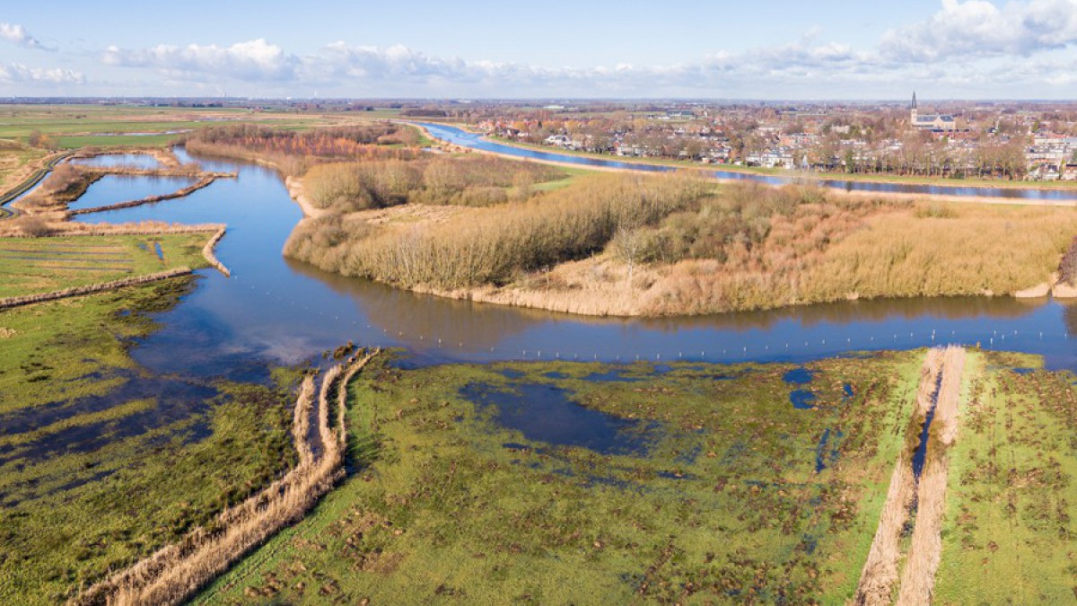 Natuurontwikkeling in rivierengebied leidt tot herstel soortenrijkdom