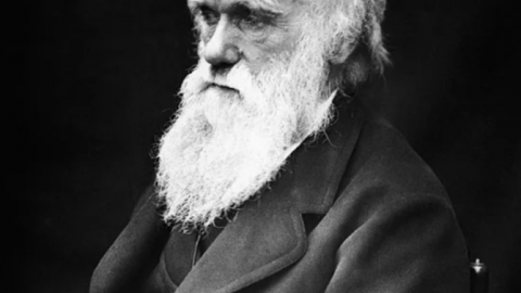 Darwin Dag