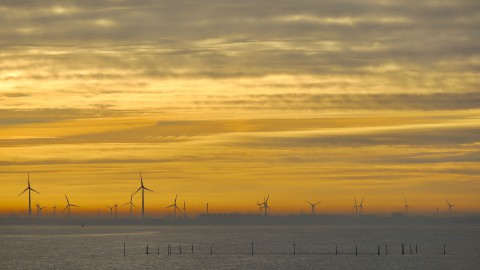 Liander: gemeente moet helpen bij stroomaanleg in Oosterwold