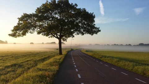 Dit doe je bij mist