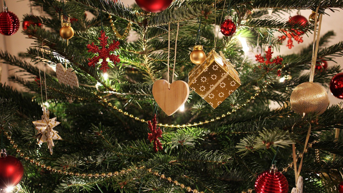 10.046 ingeleverde kerstbomen tijdens kerstboominzameling