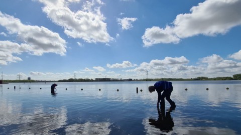 Studenten monitoren kwaliteit van zwemwater in Almere