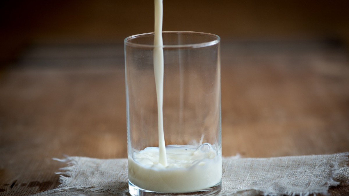 Grote Flevolandse melkbedrijven gaan samenwerken