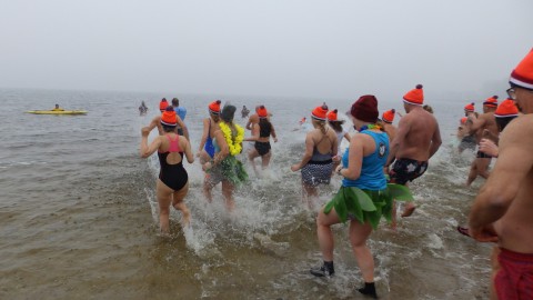 Nieuwjaarsduik van Almere Haven gaat niet door