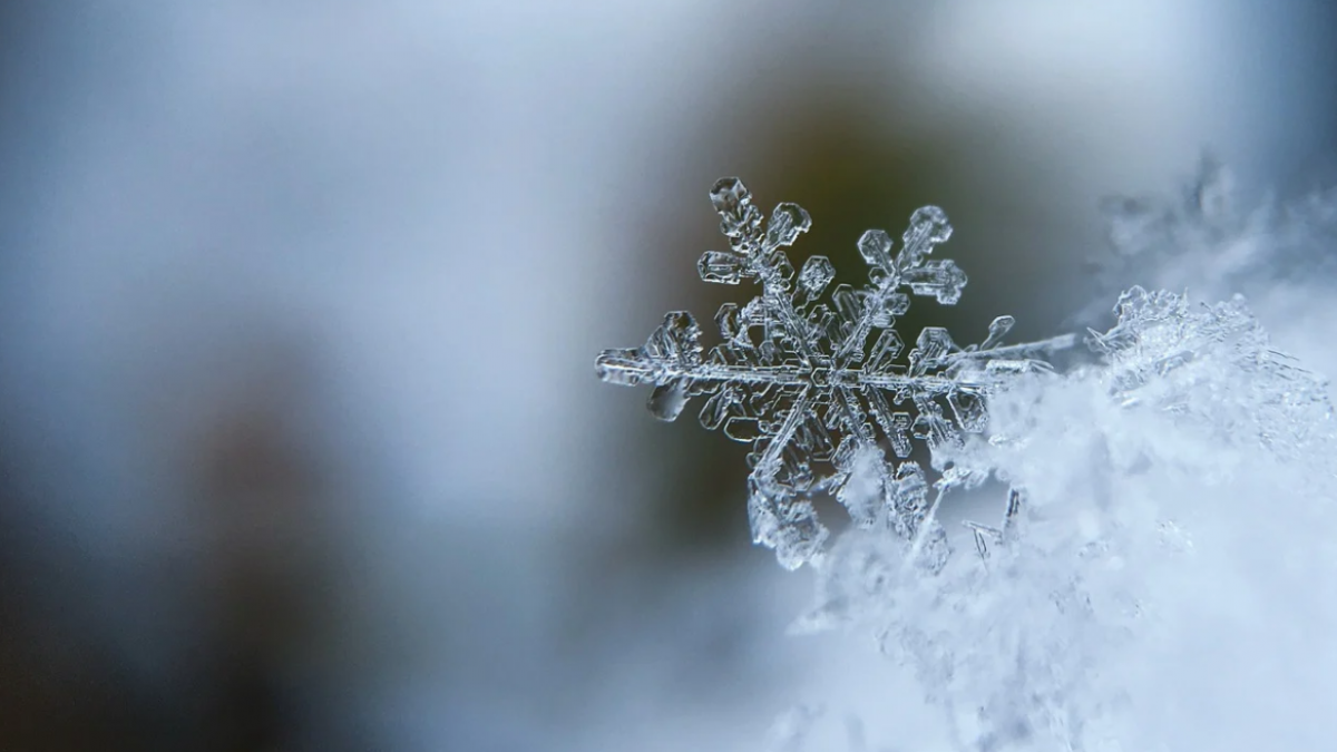 Een geweldige tijd voor de schaatsers, sneeuw fanaten en de sterrenkijkers!