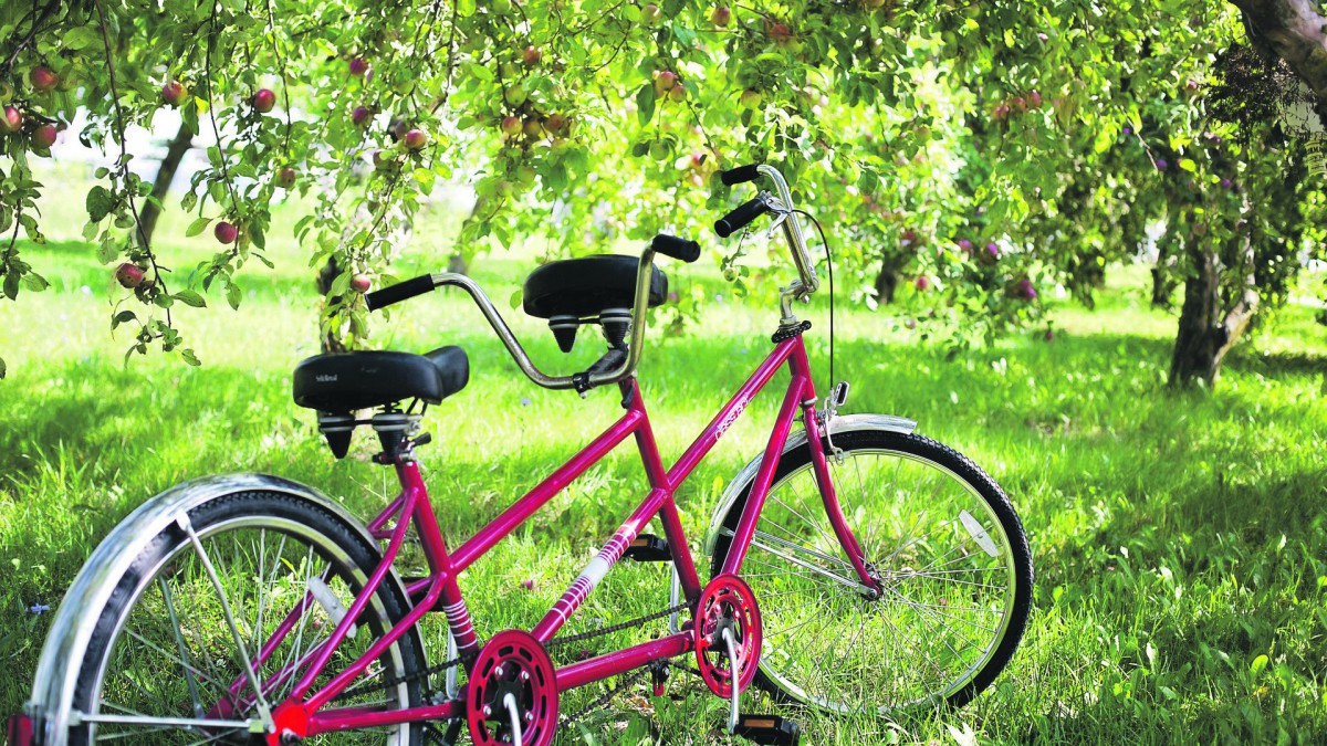 Toekomst voor de fiets: regio en rijk bouwen verder aan Nederland fietsland