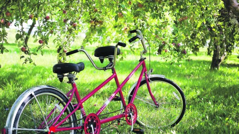 Toekomst voor de fiets: regio en rijk bouwen verder aan Nederland fietsland