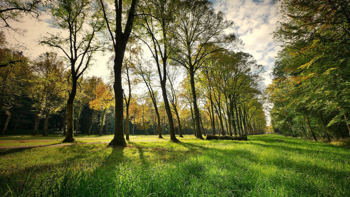 Ruim vier miljoen subsidie voor Nationaal Park Nieuw Land