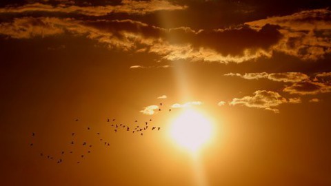 Ondanks onweersbuien eerste zomerse dag van 2021