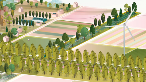 Nieuwe landschapsvisie herstelt, bewaakt en versterkt Flevoland