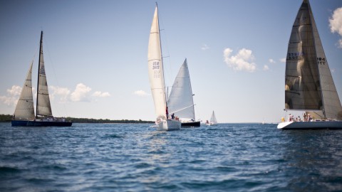 Almere Regatta houdt op te bestaan