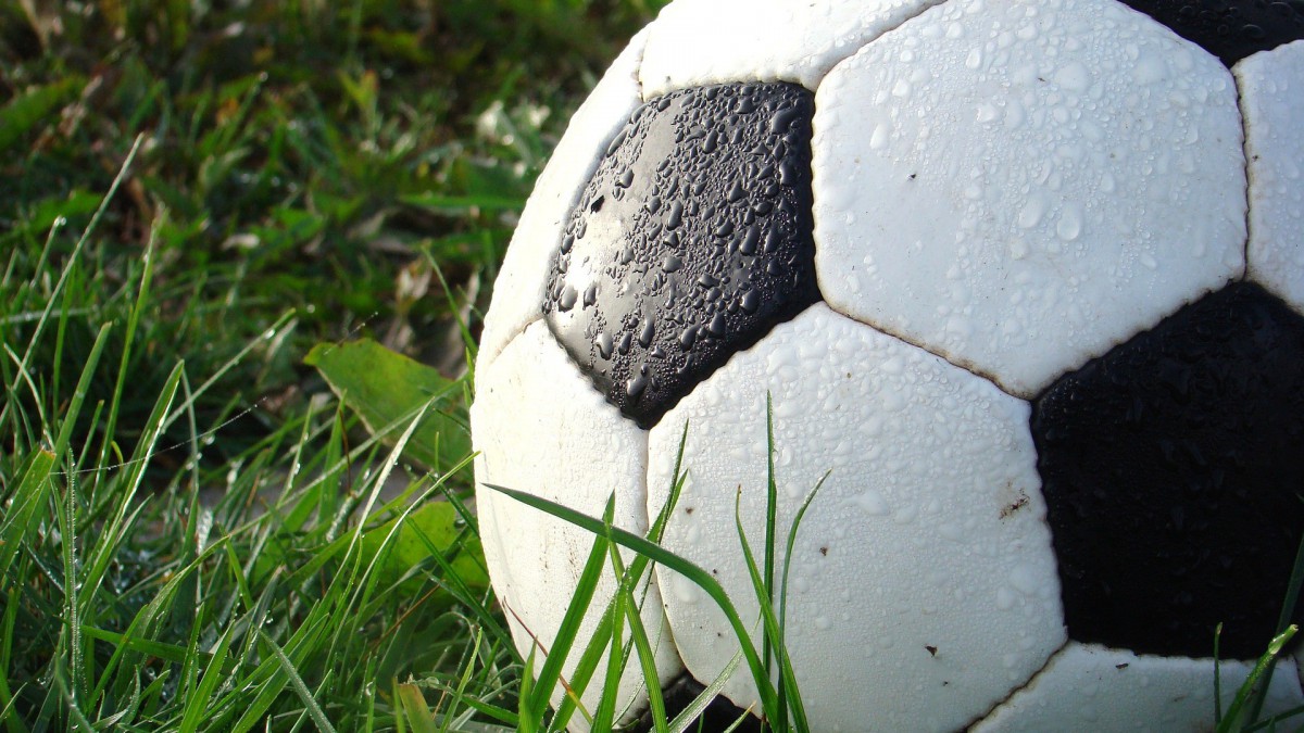 Leeuwinnen spelen vanmiddag in de finale van het WK