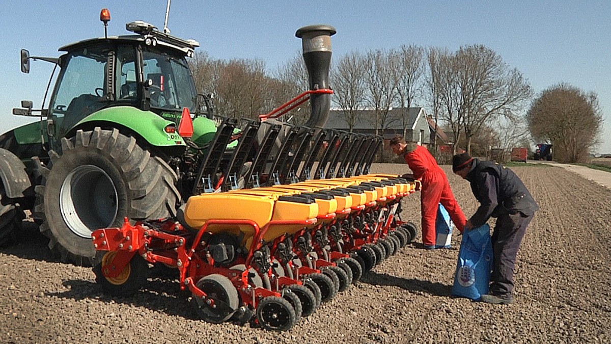Flevolandse boeren zaaien FlevoVeldboon