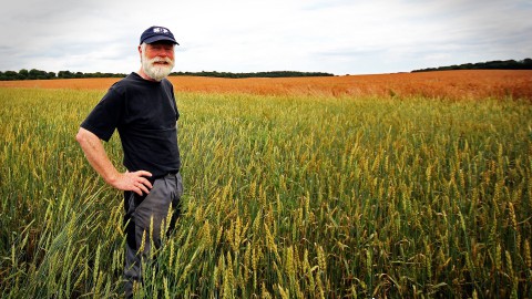 Boeren voor Buren mogelijk naar Flevoland