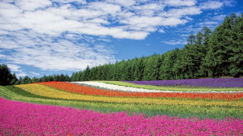 Extra geld naar Floriade; hoogte van bedrag nog geheim 