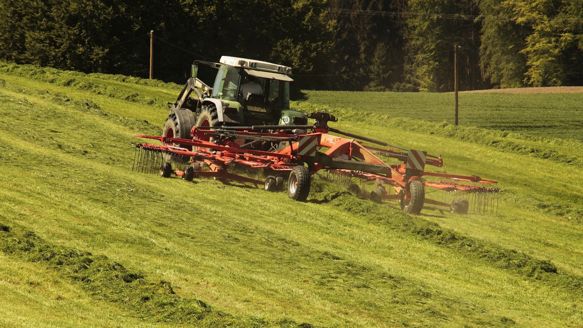 Landbouw doet noodkreet met 'Help ons oogsten'  