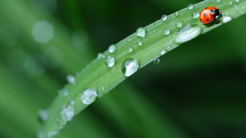 Wat te doen tegen droogte?