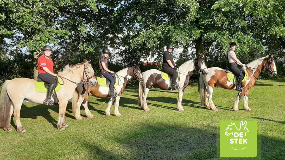 Paarden activiteiten op Kinderboerderij en Manege de Stek