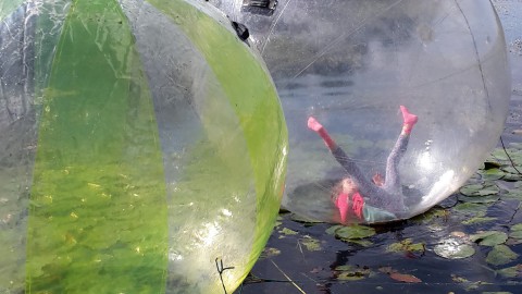 Rolling Nature Kemphaan met rollende activiteiten van Almeerse bodem