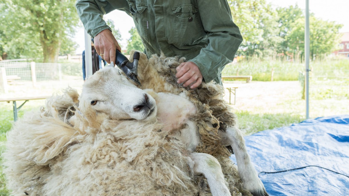 Lentefeest op kinderboerderij De Beestenbende 